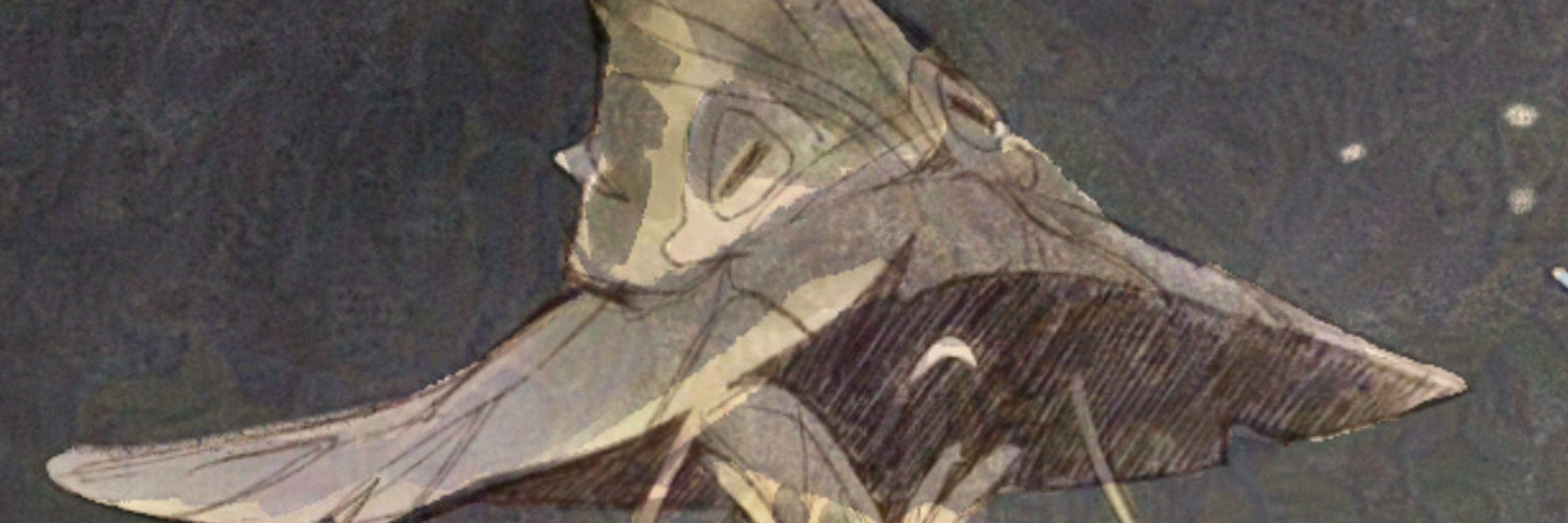 Kaouruart