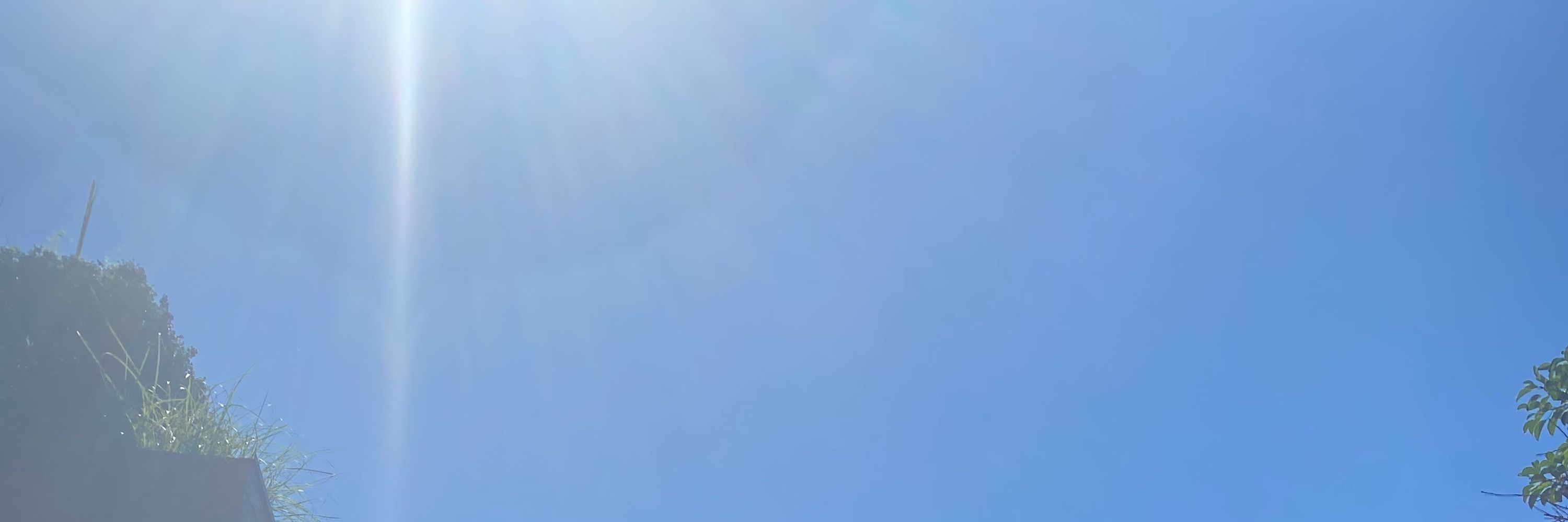 もぐおくん