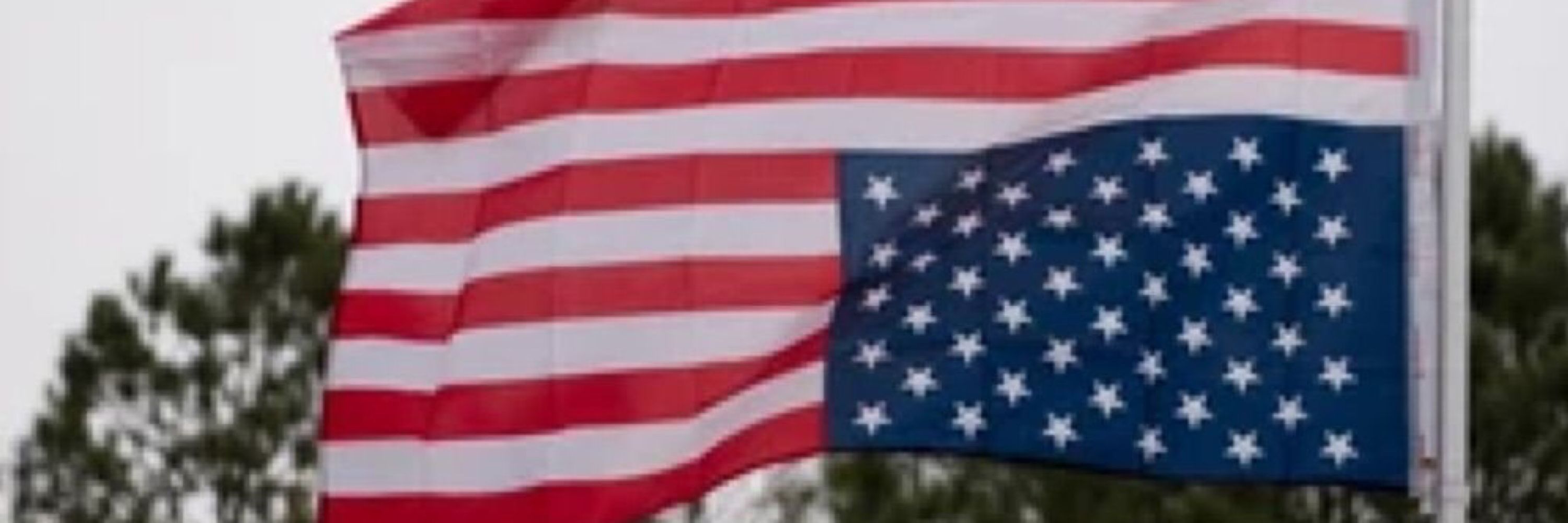 Americans Against Greed