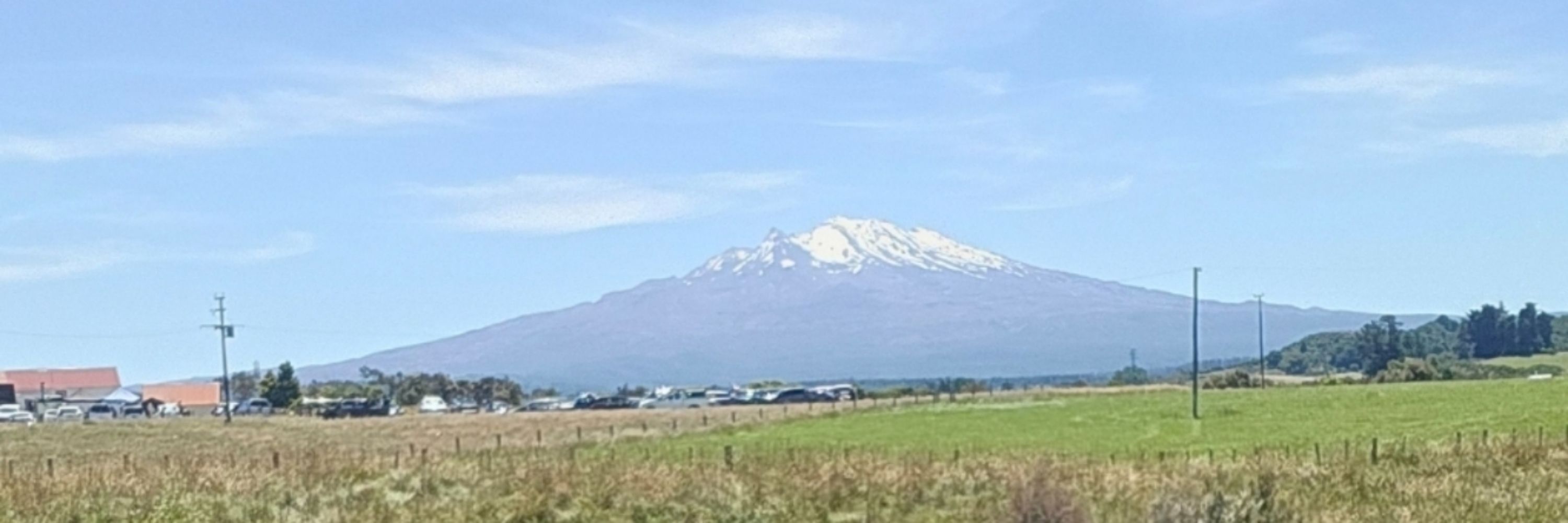 Maoribro