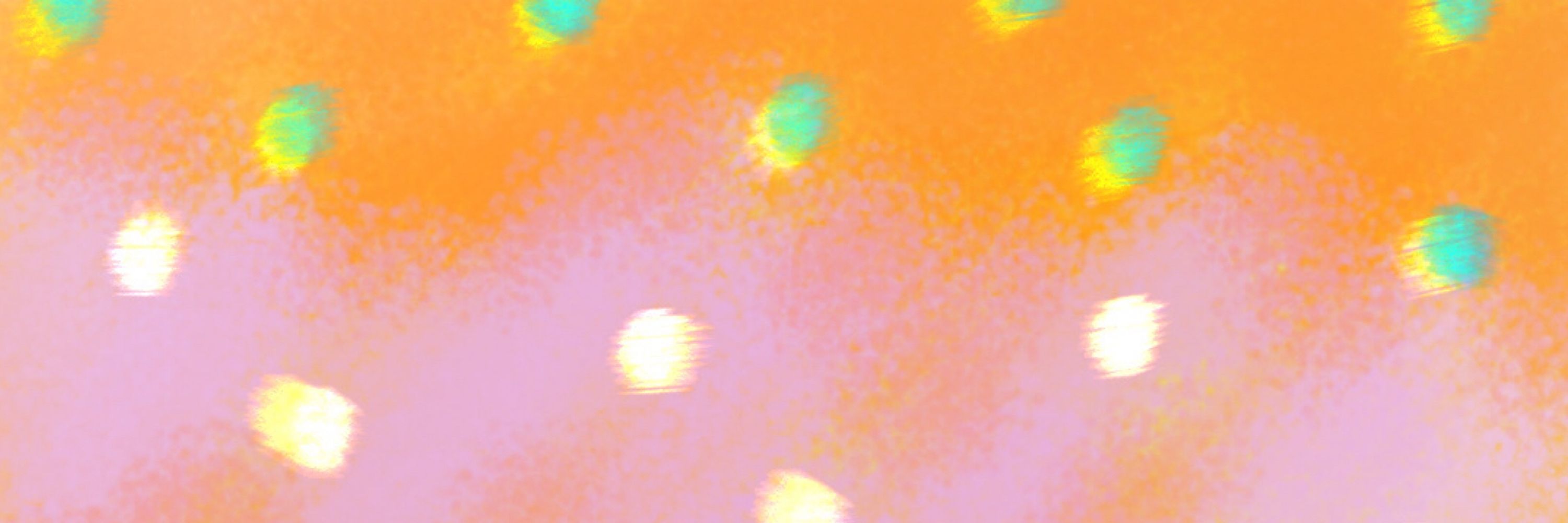 Dodosenid