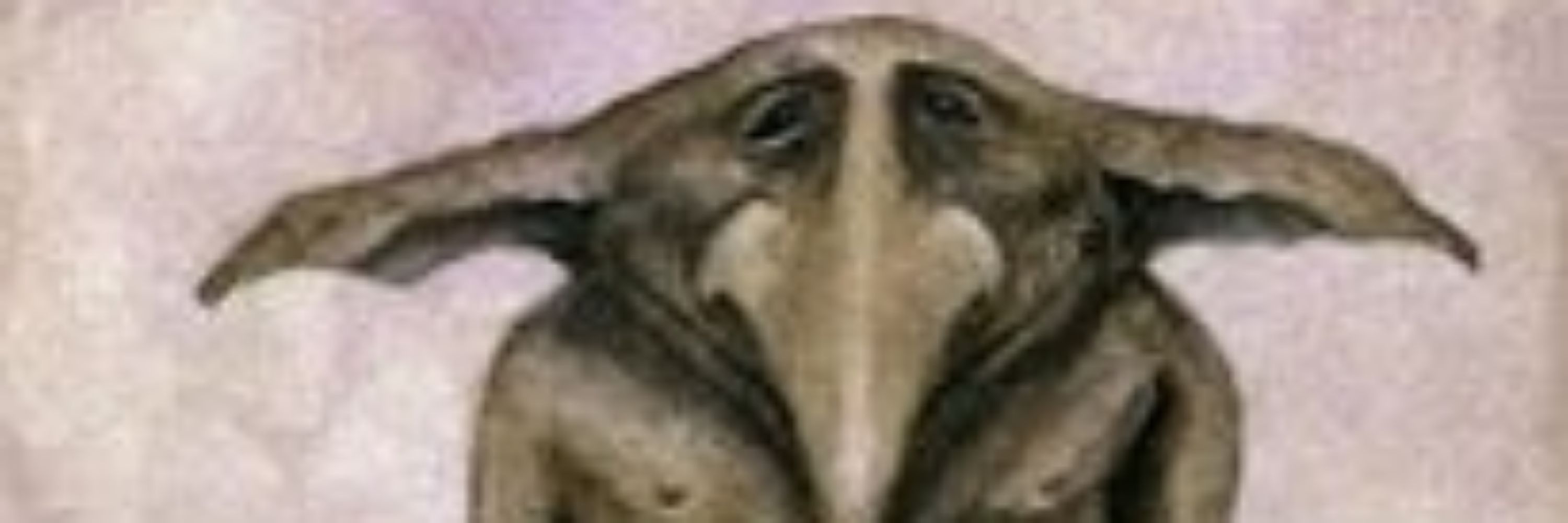 Goblin das Charadas