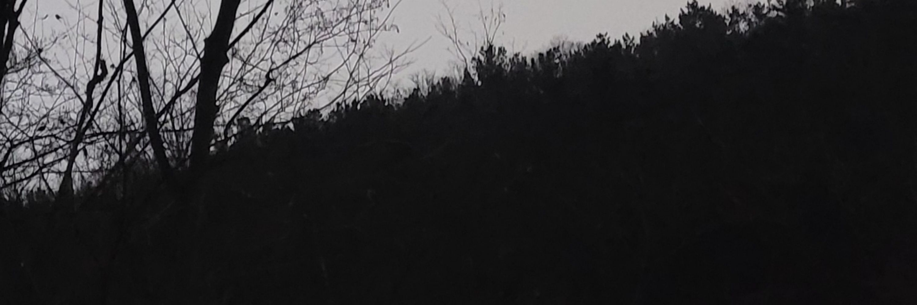 여기