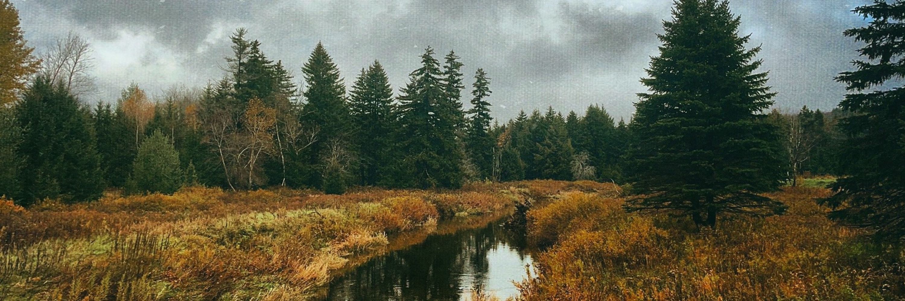 Rob LaRocque