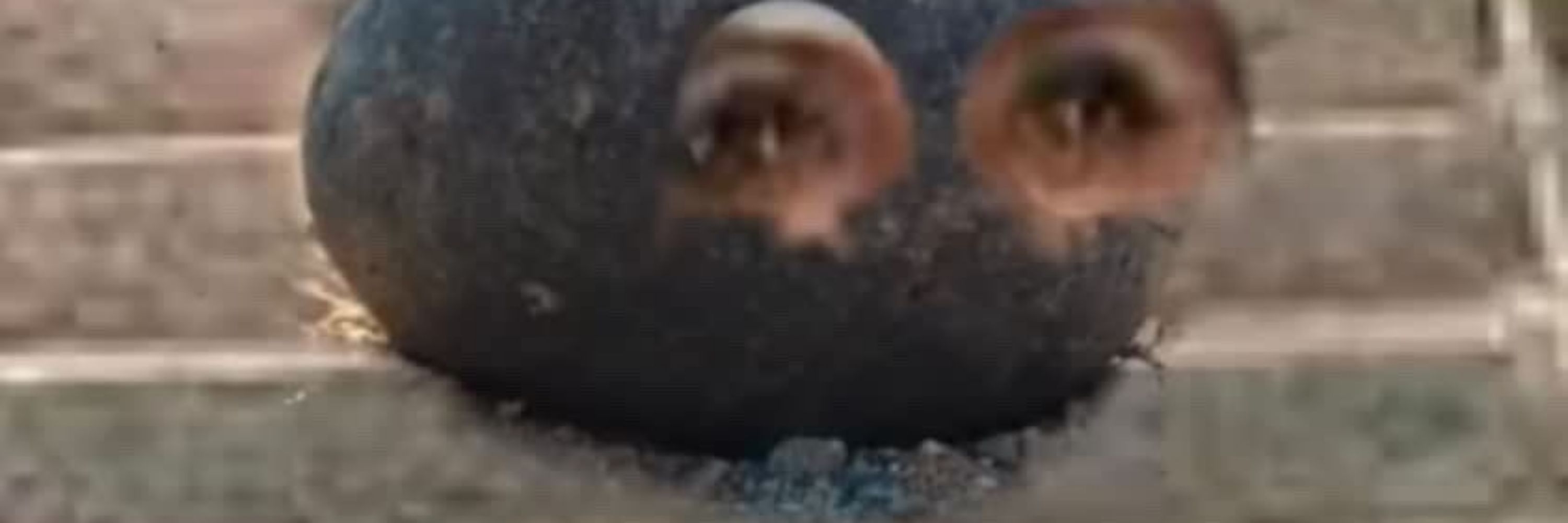 3by4