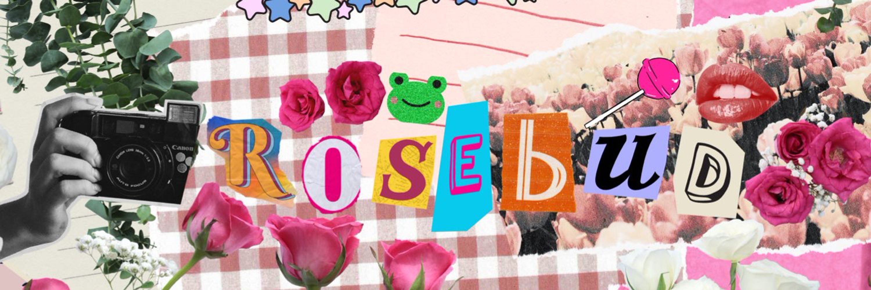Rosebud 🌹