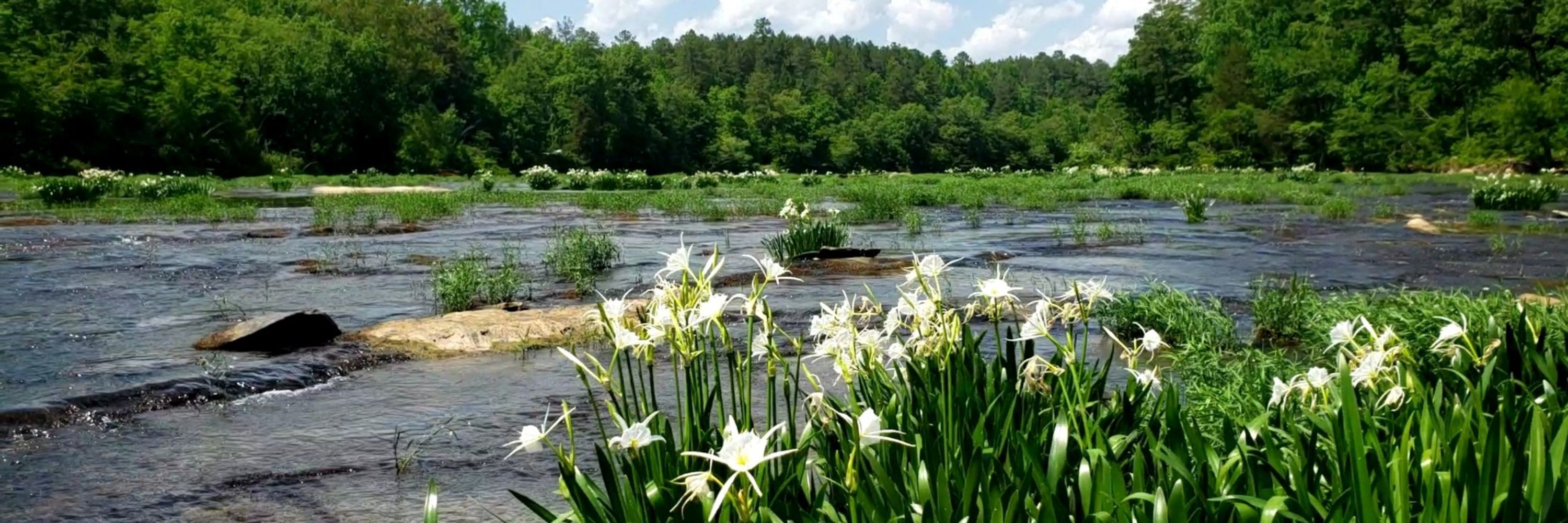 Cahaba Man