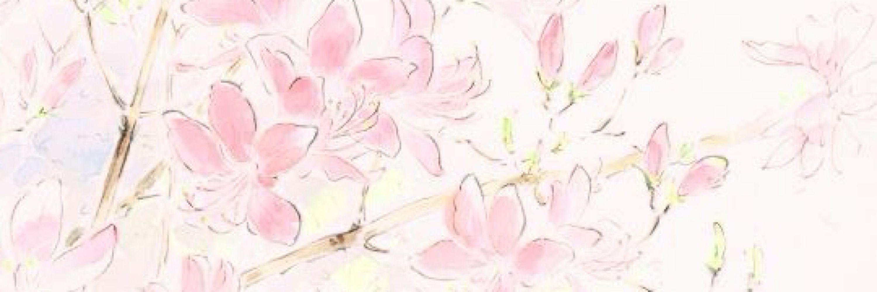 ꒰ᐢ. .ᐢ꒱