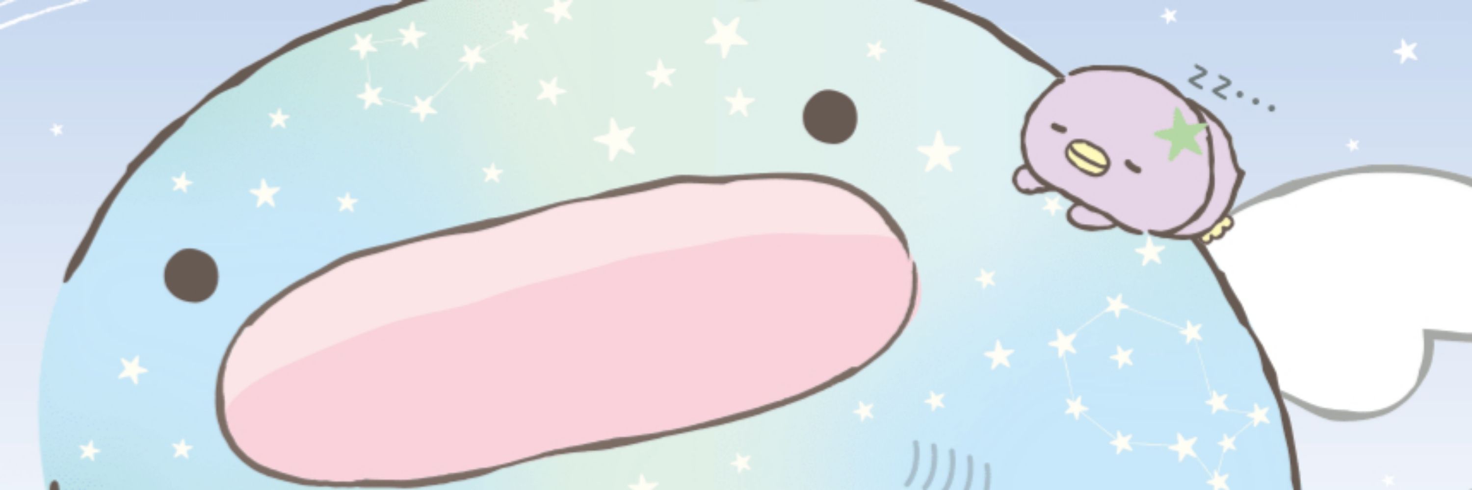 sally˚⊹♡