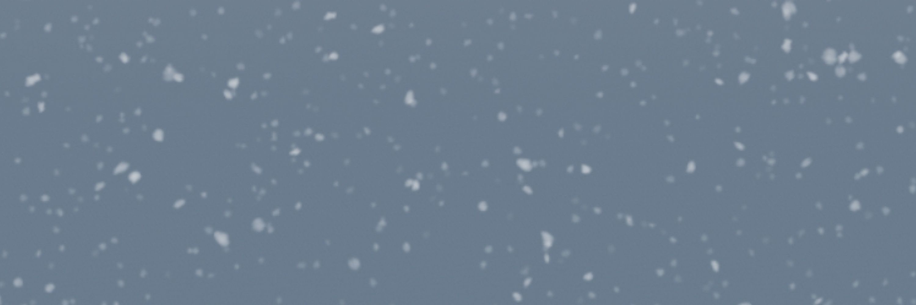 雪村しずか
