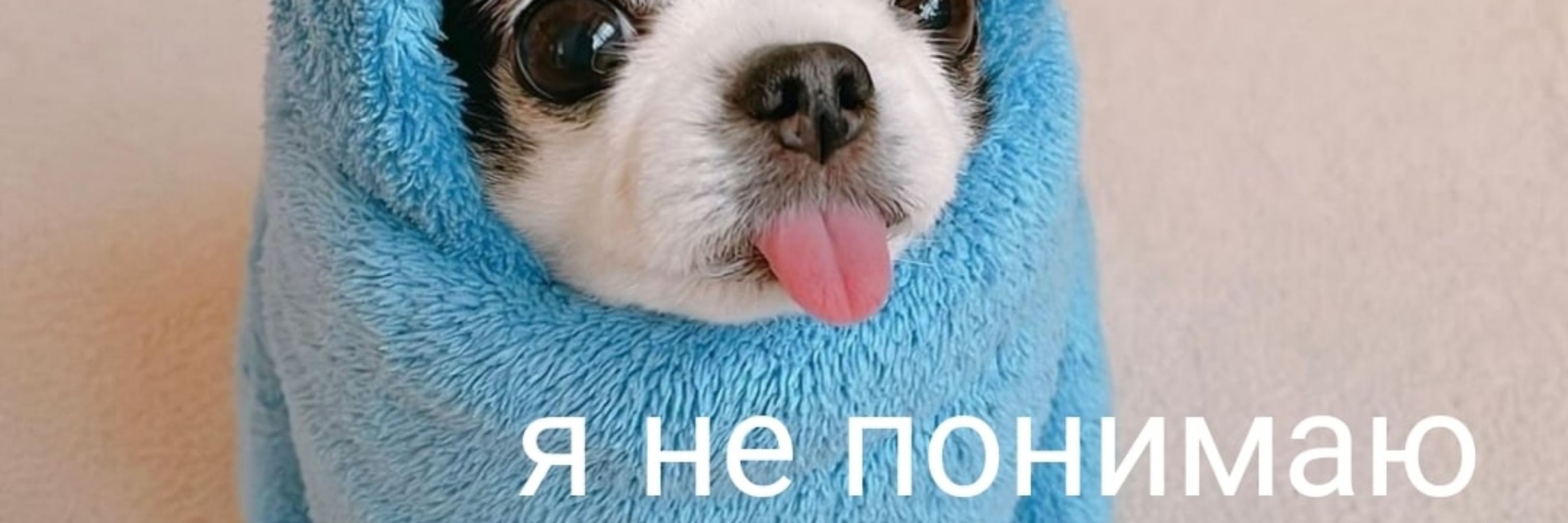 perspyhimys