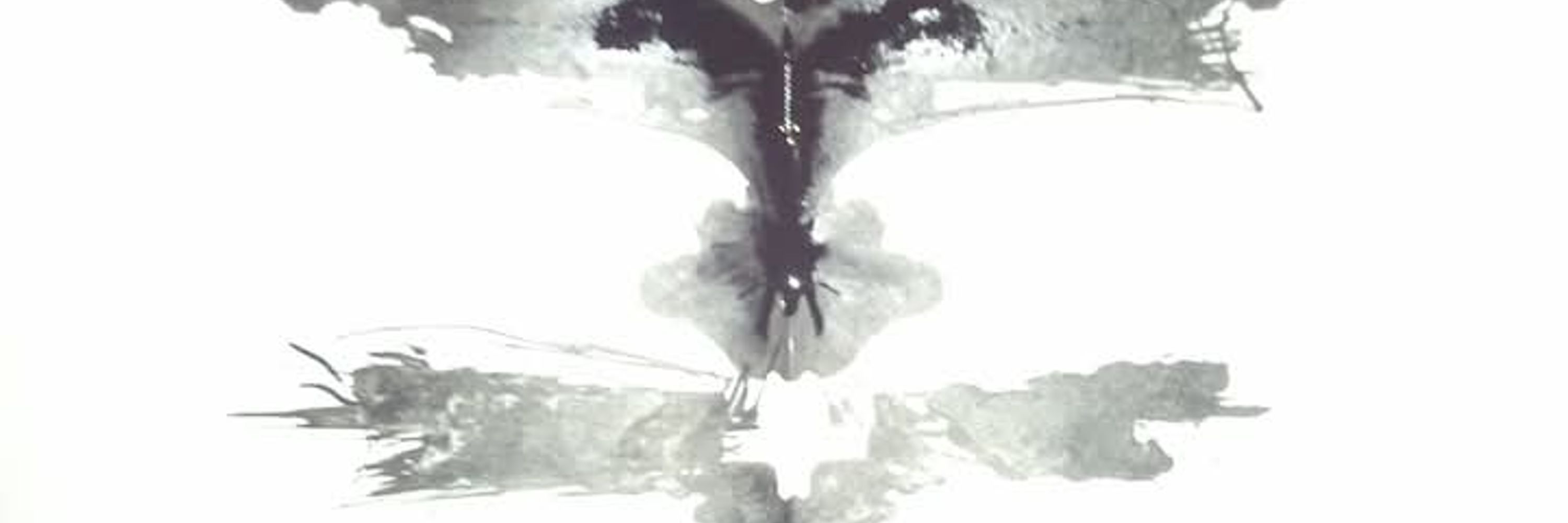 Trent Kallust