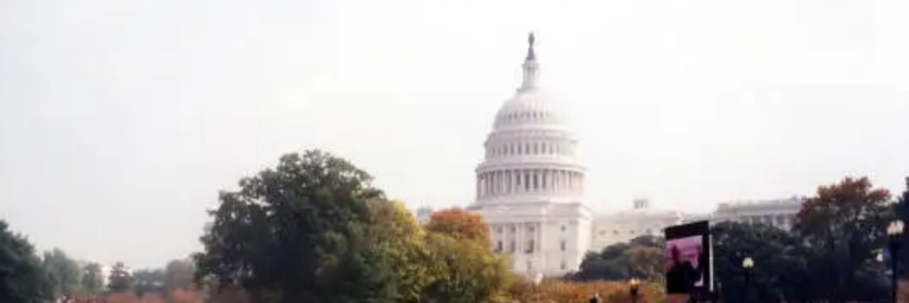 Democracy for All