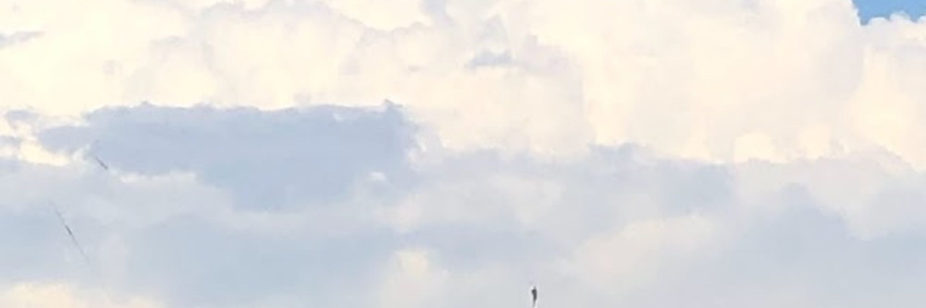 増田まもる