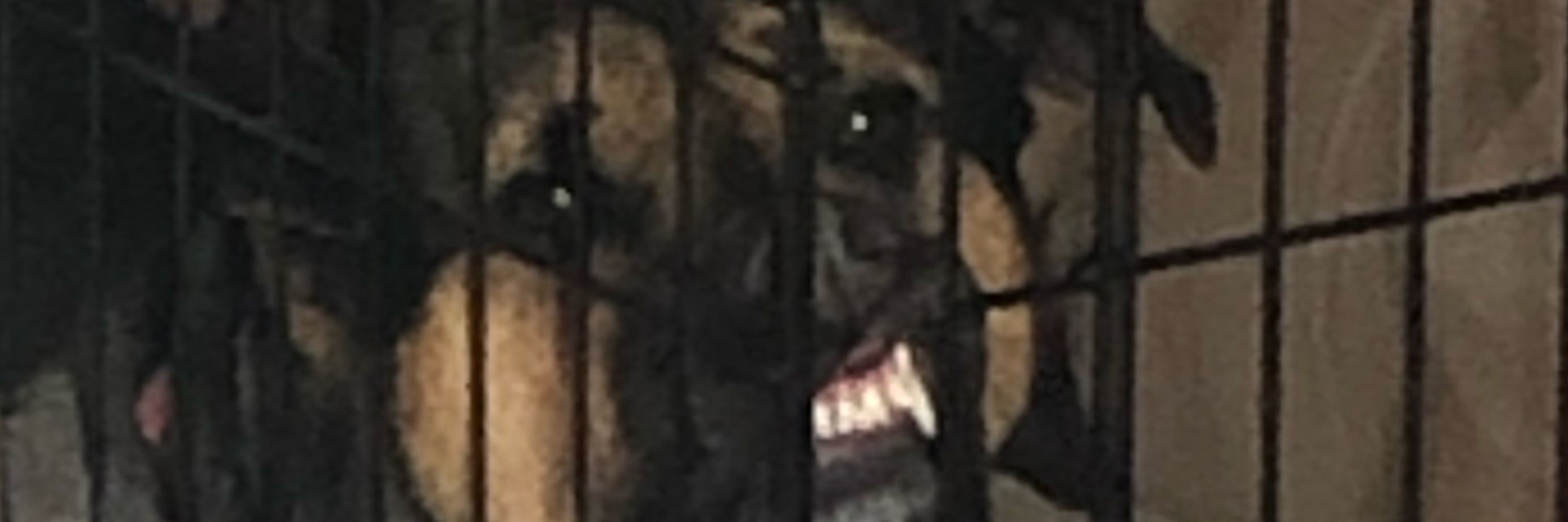 Joshua