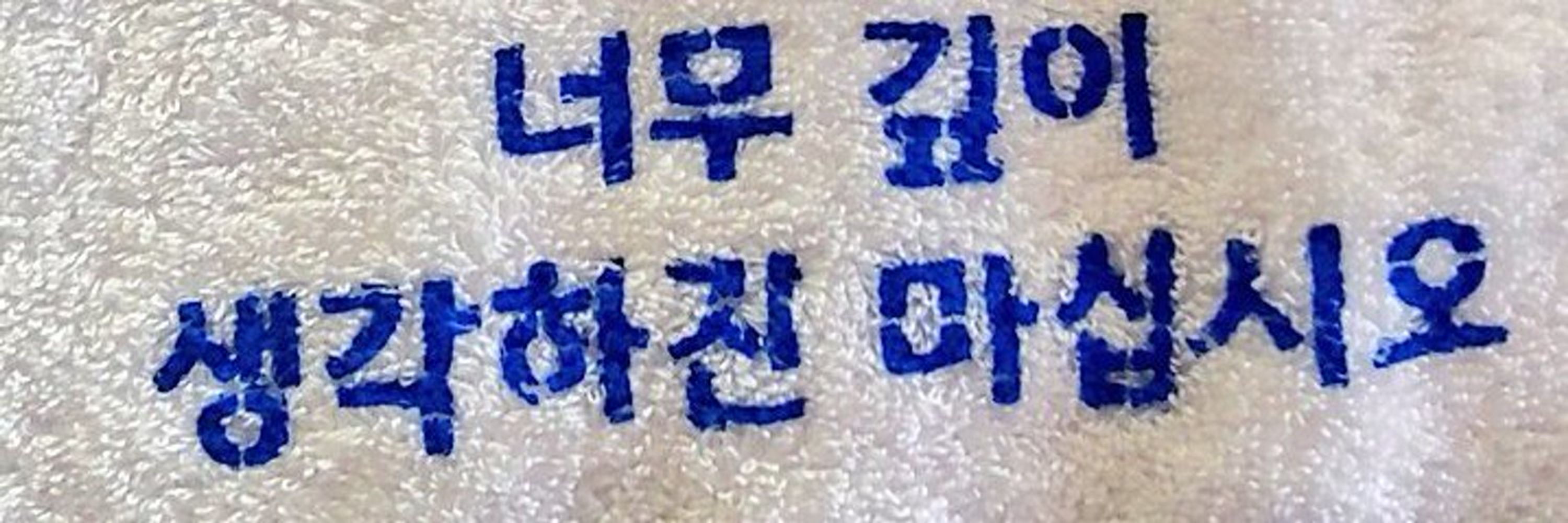 철새