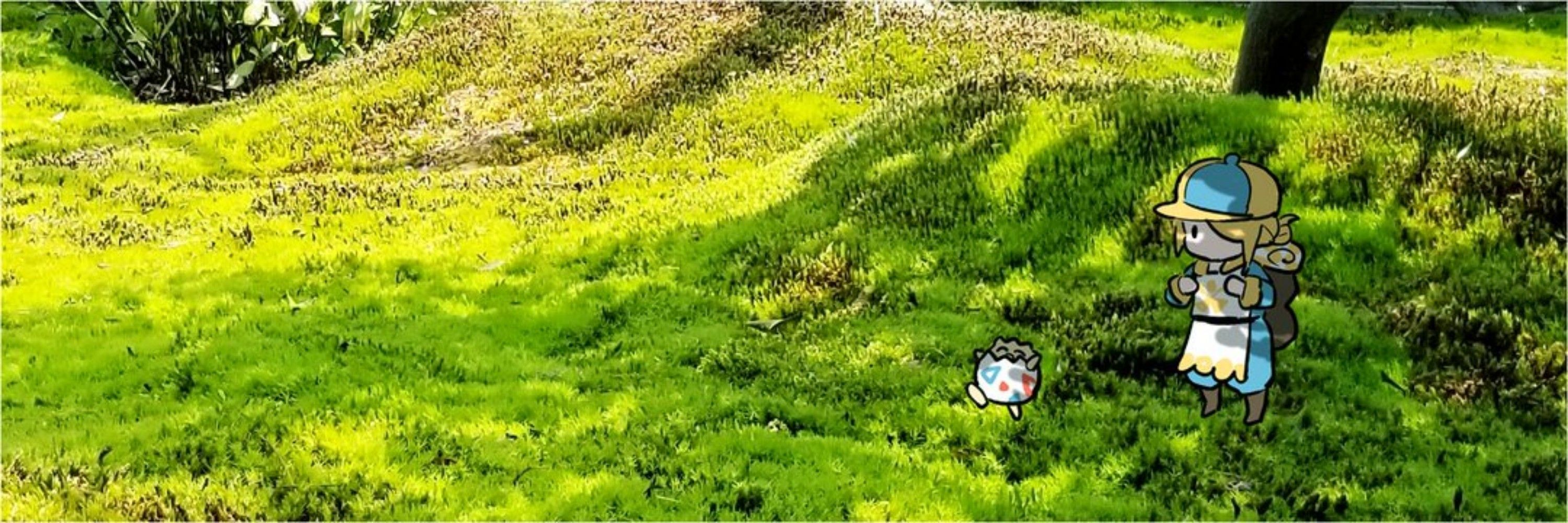 ユーキ🎊