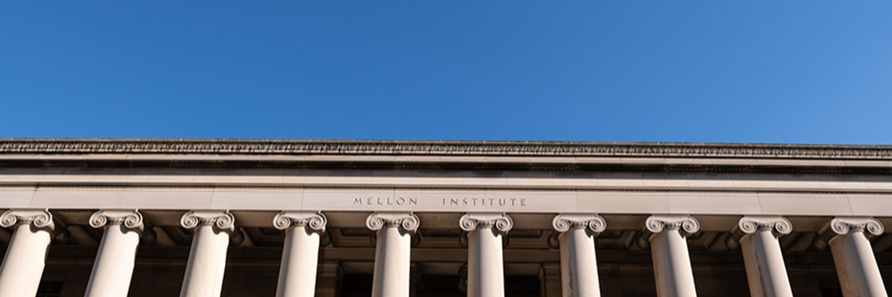 Center for the Neural Basis of Cognition