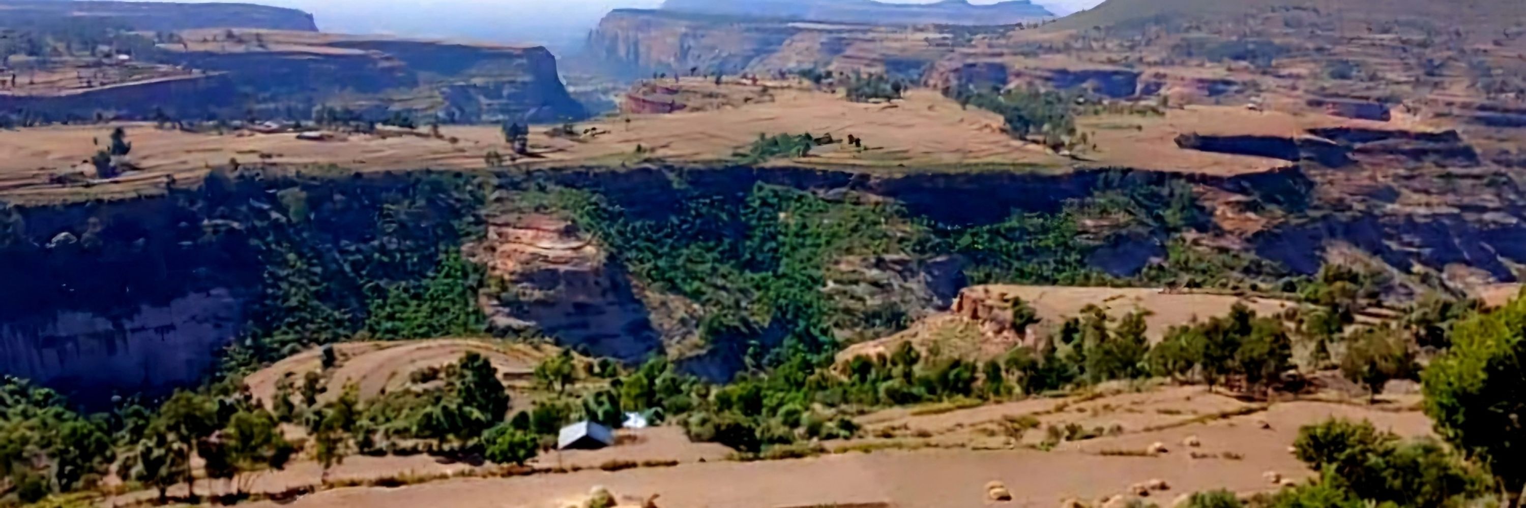 Hagos Gebremariam