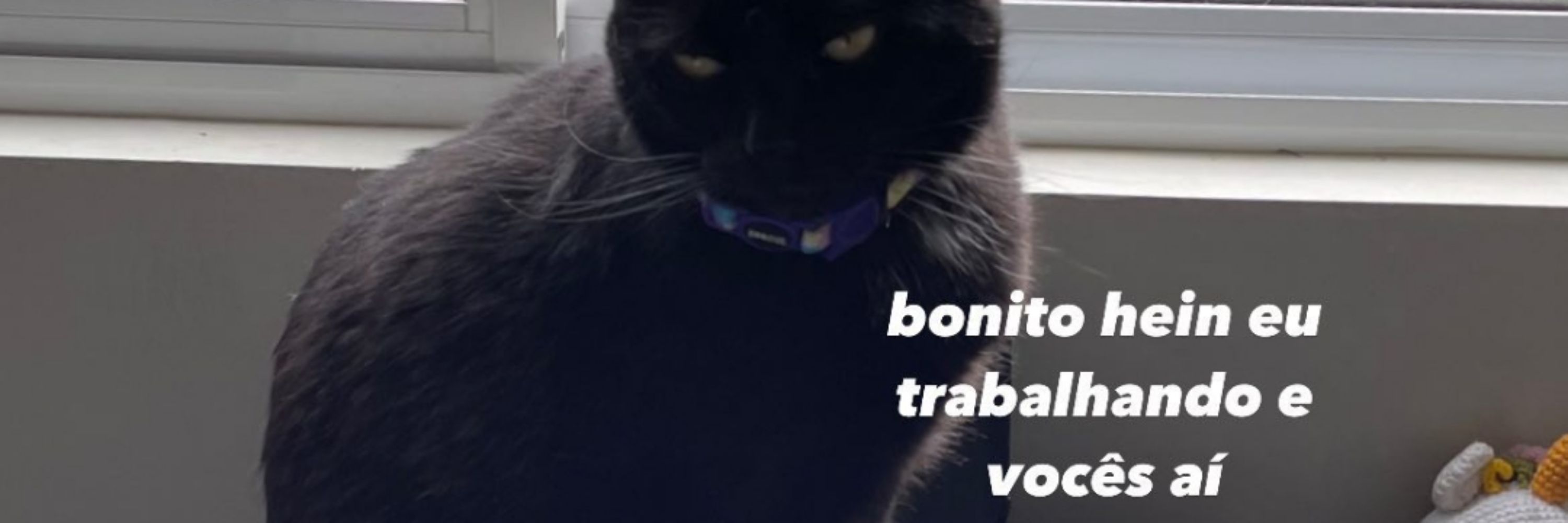 A. Braga