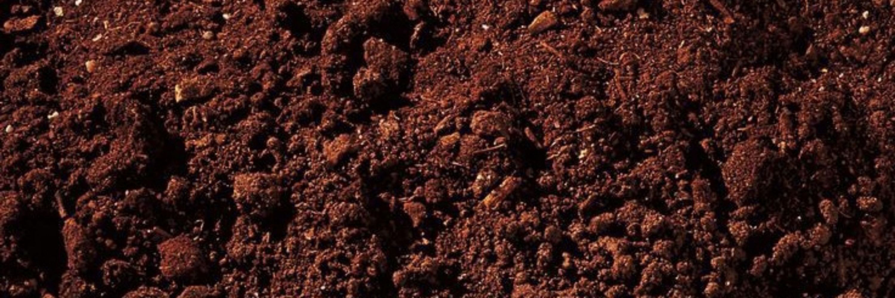 Mr. Dirt