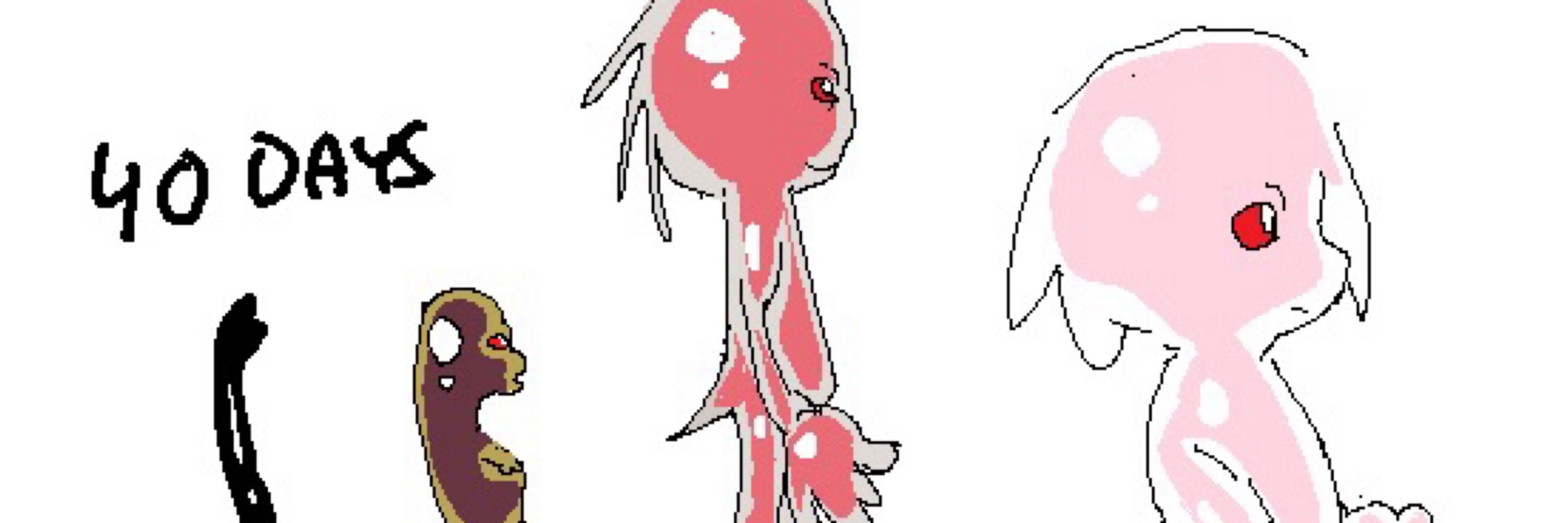 Nix