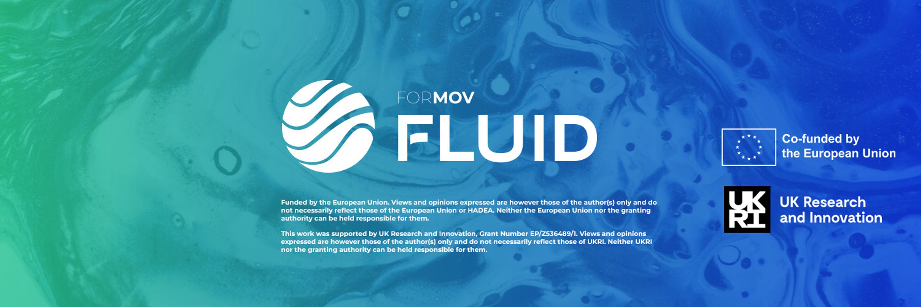 ForMovFluid