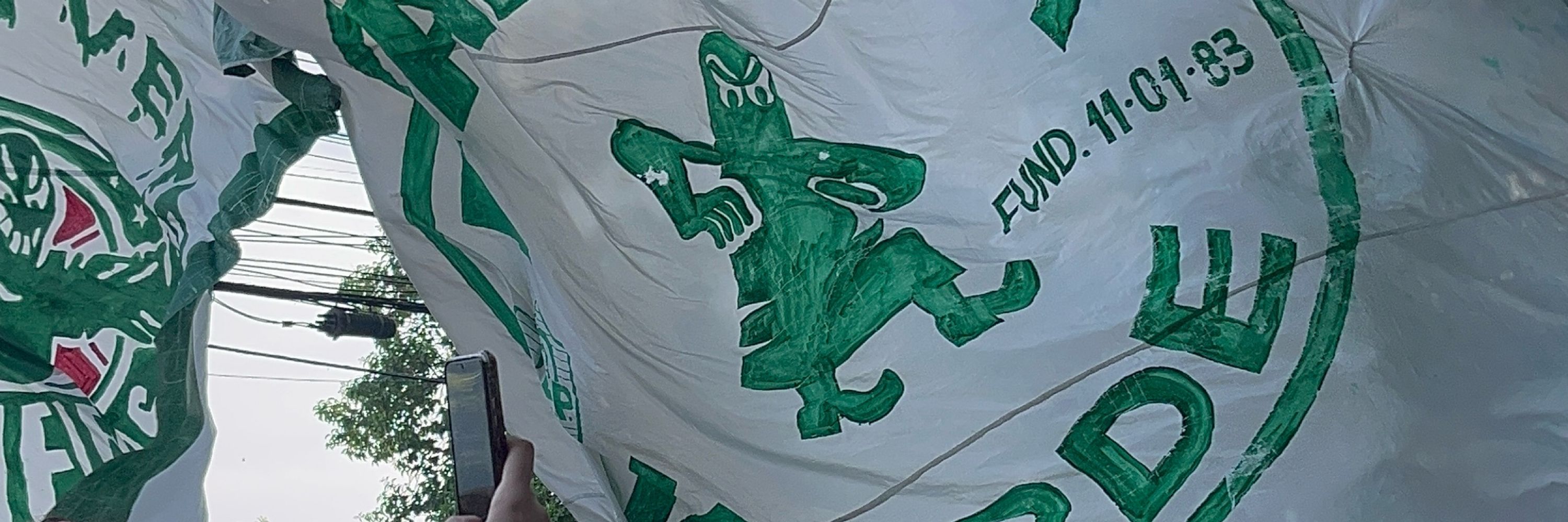 enzosep
