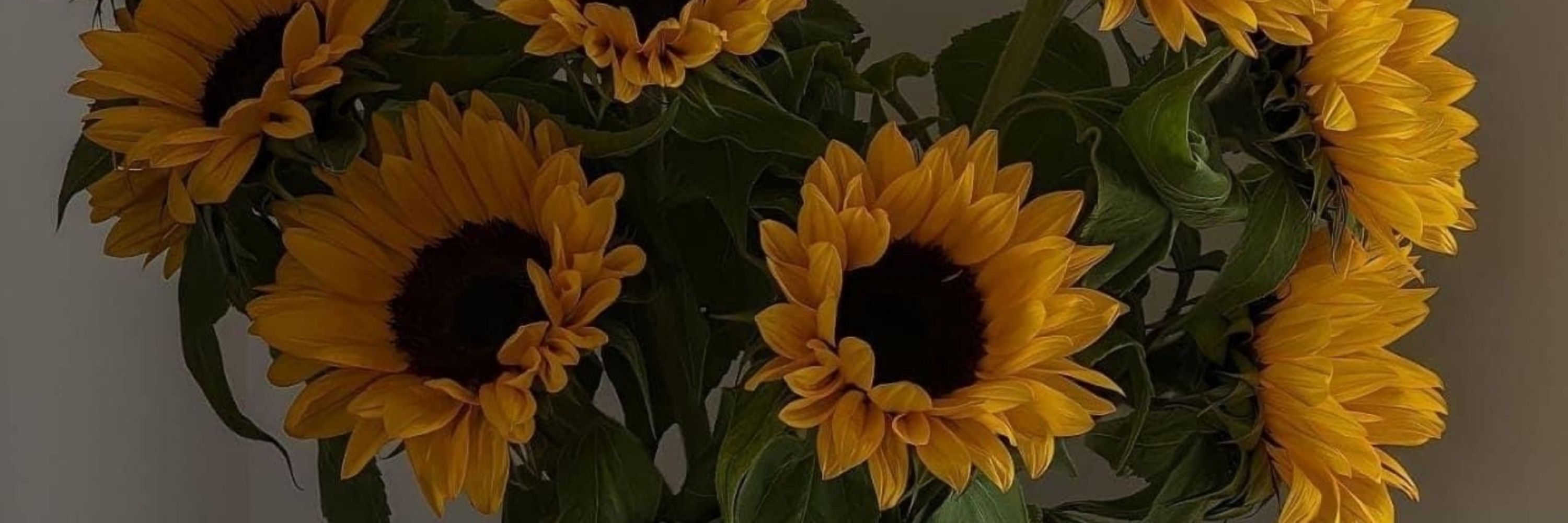 TabiAnnie ✨️🌻