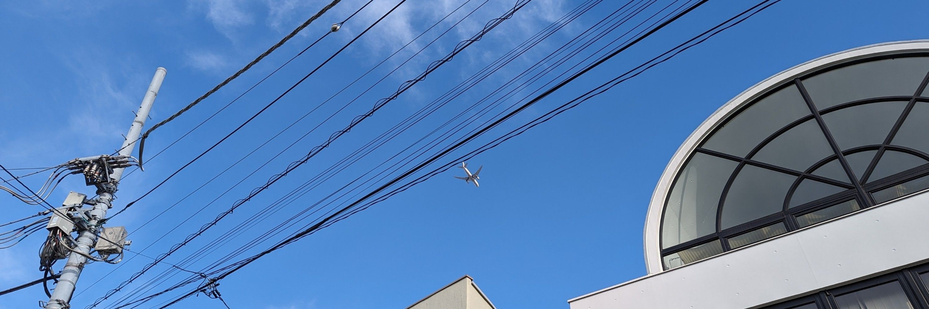 高橋 流れ人