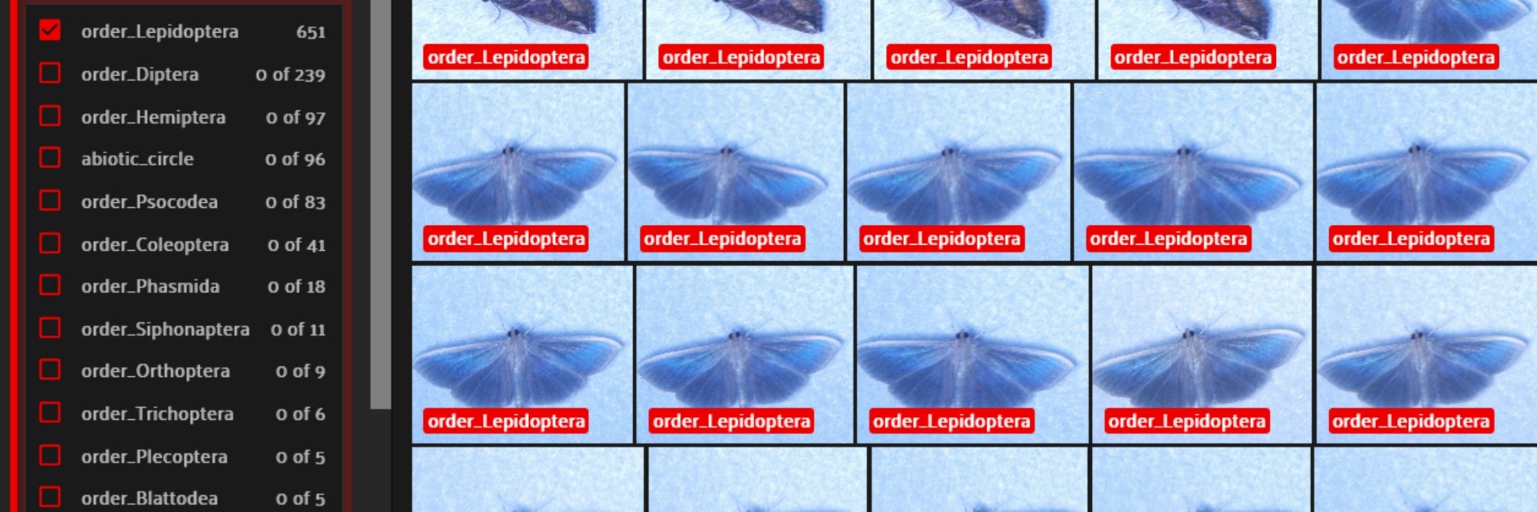Mothbox