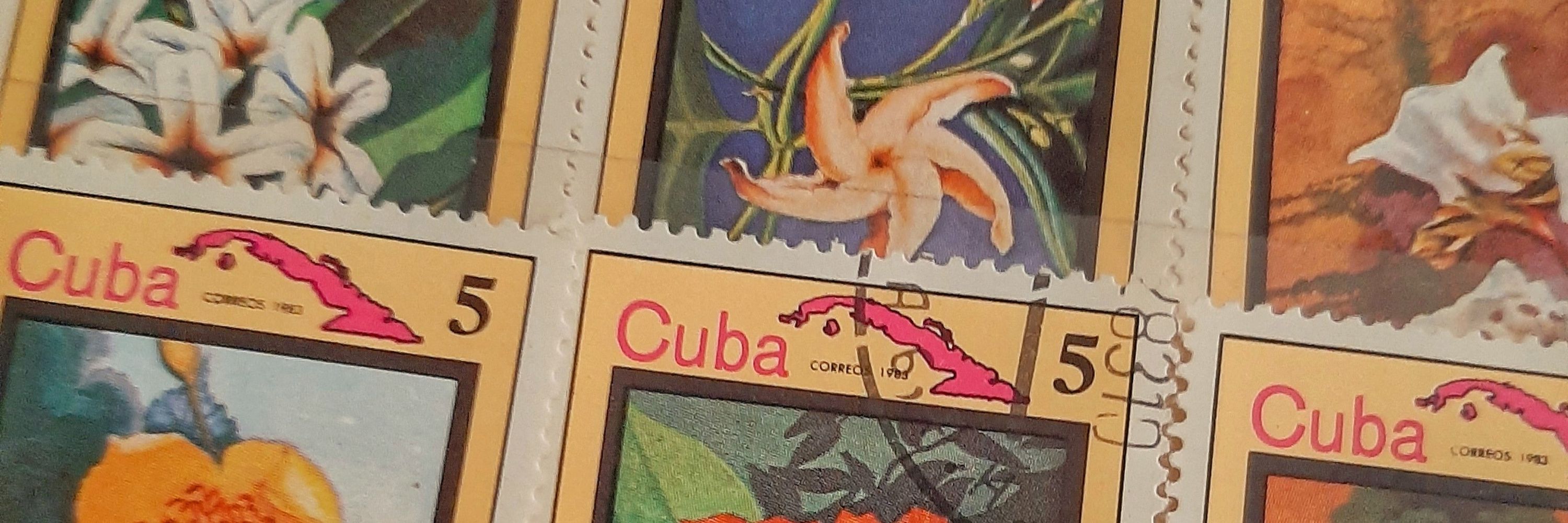 Peia