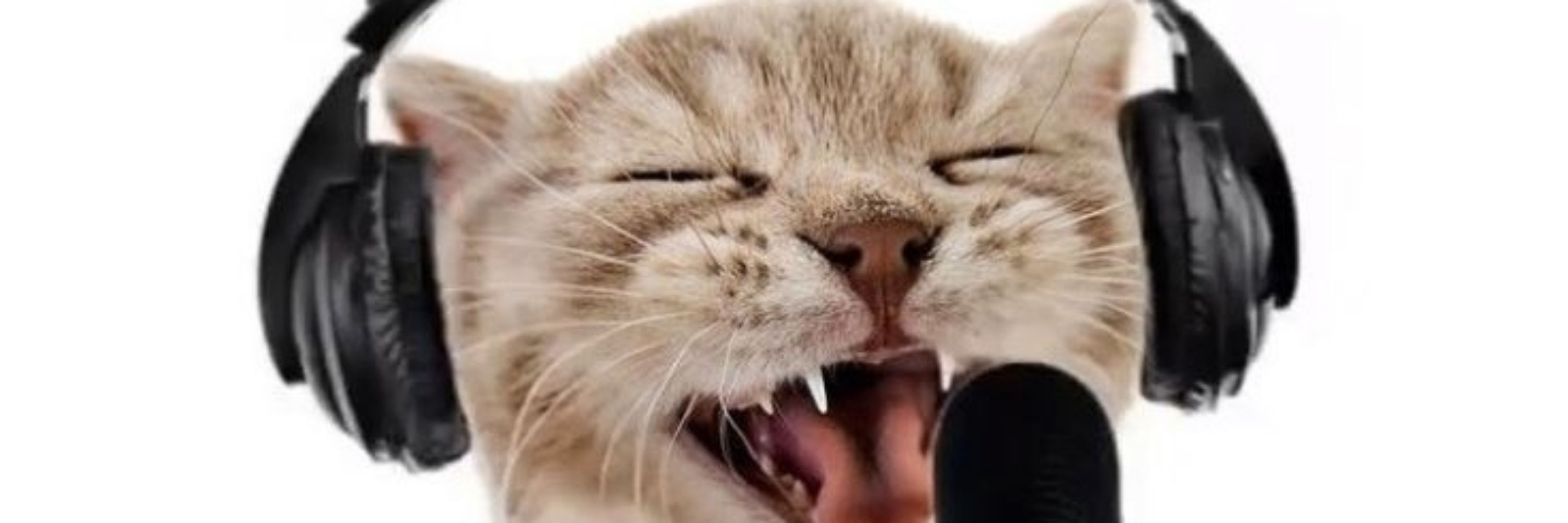 bwebbin