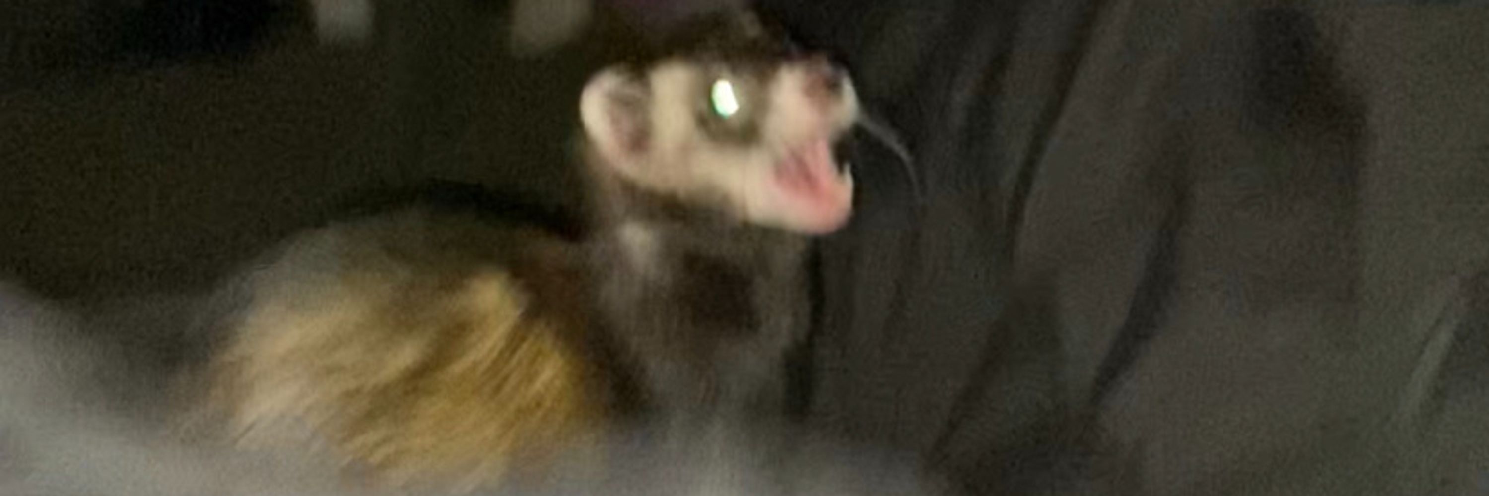nicooooo