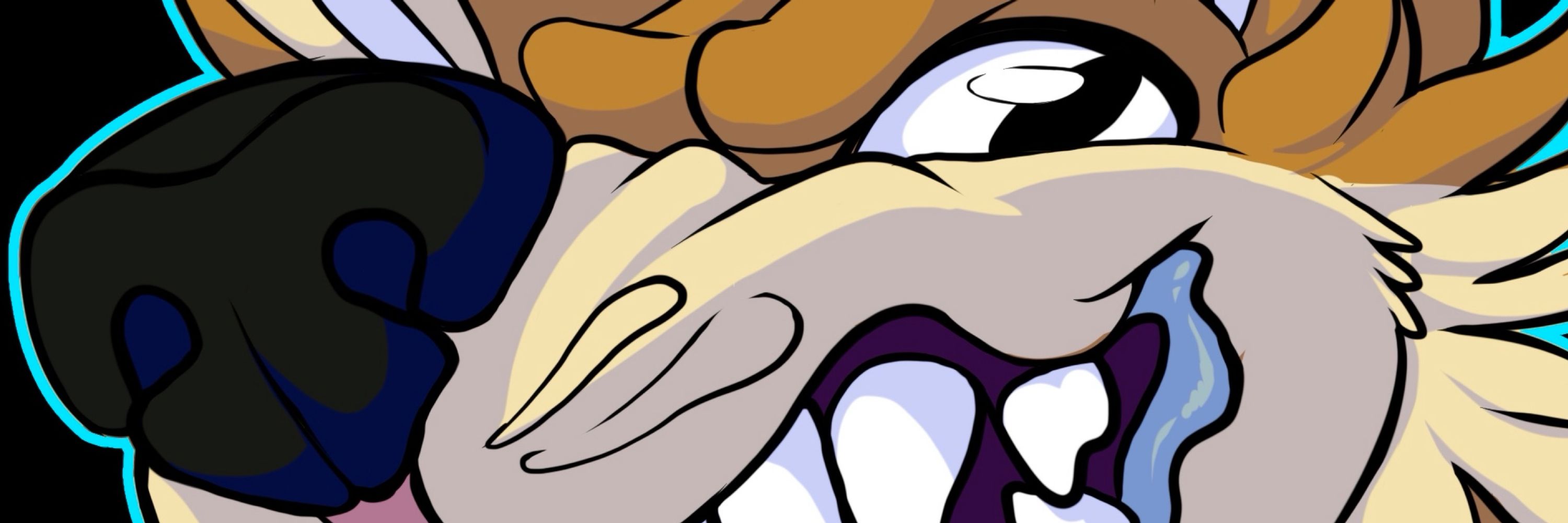 DiNGO
