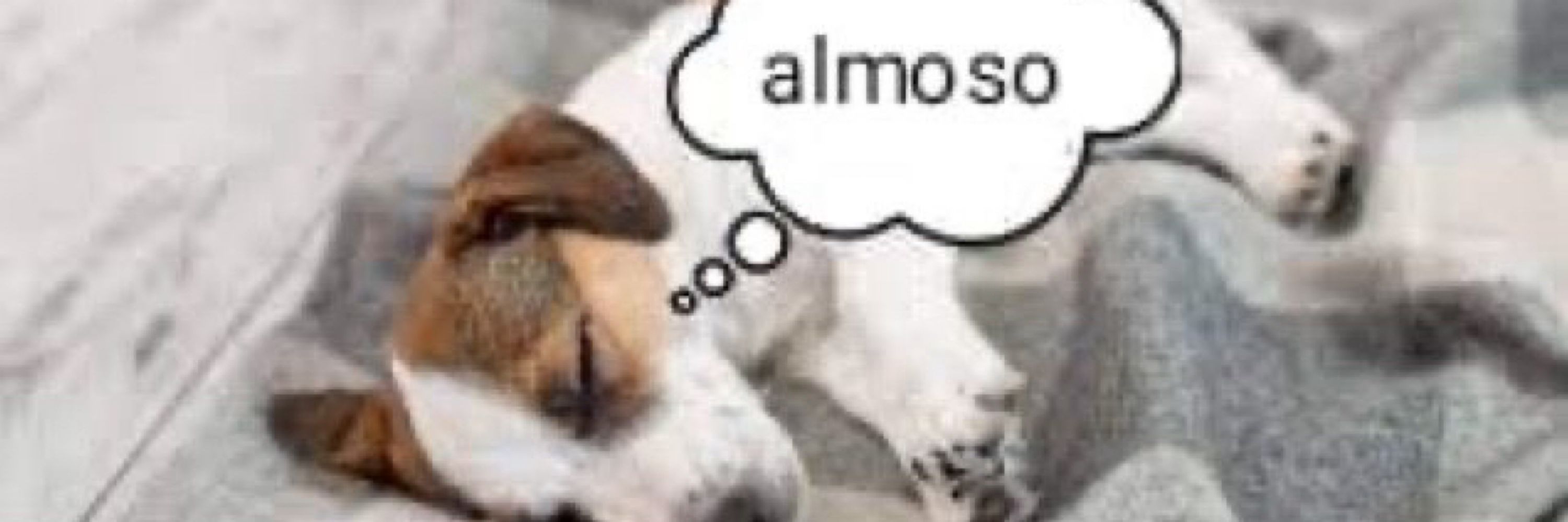 aninha