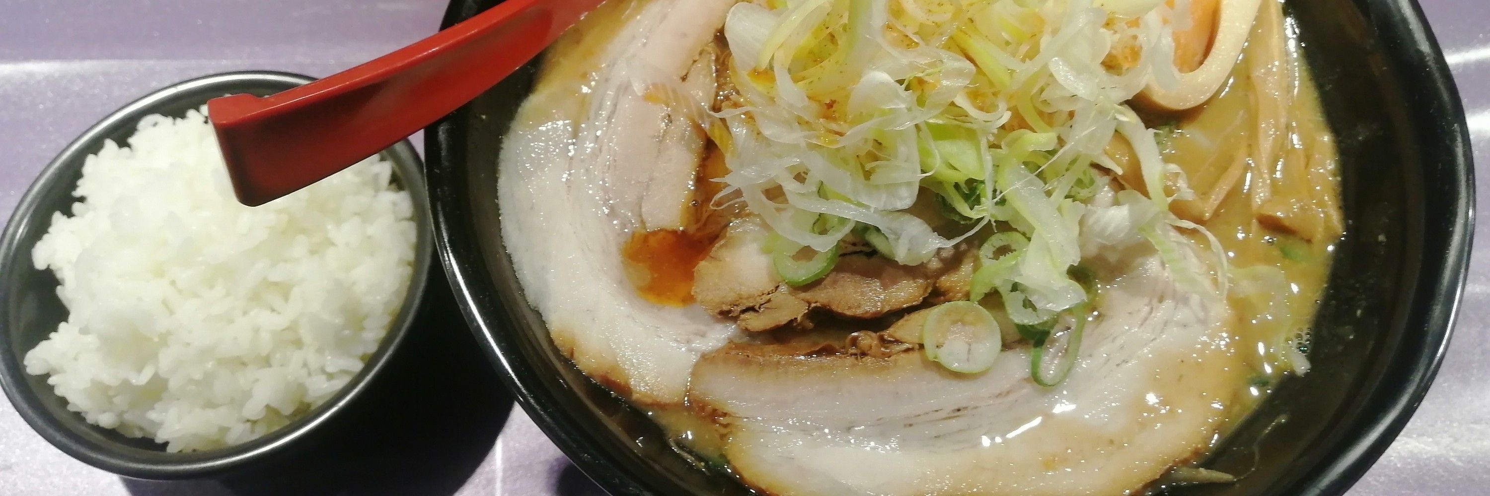 とある魔術猫
