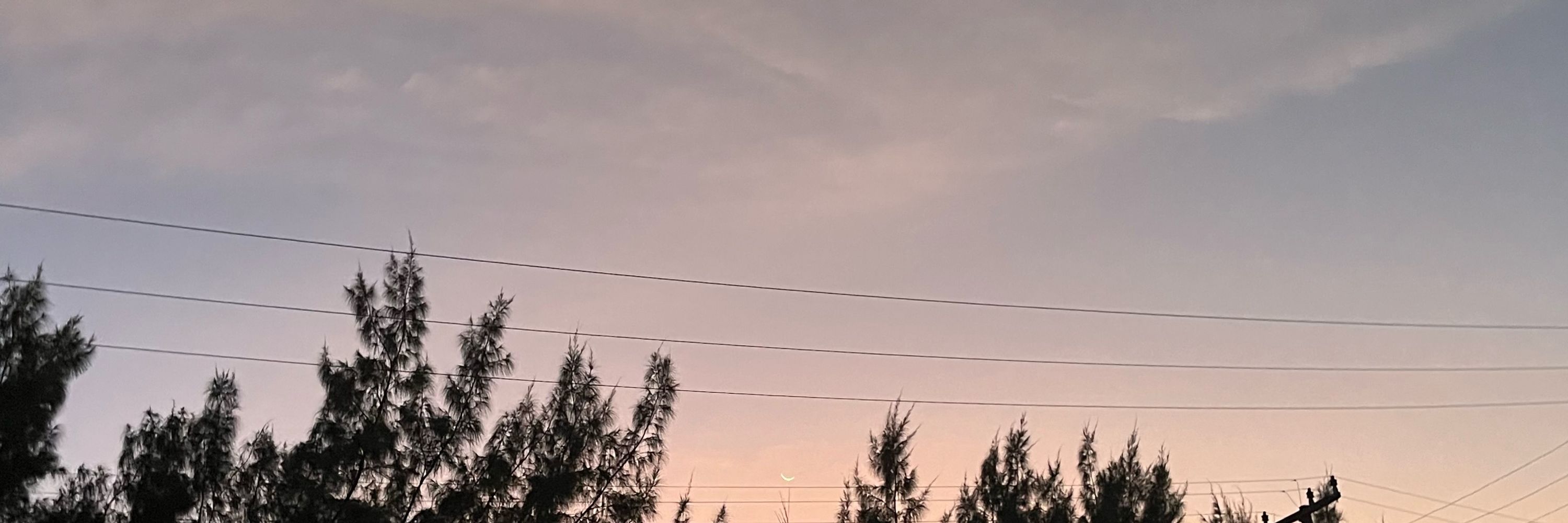 🌤️