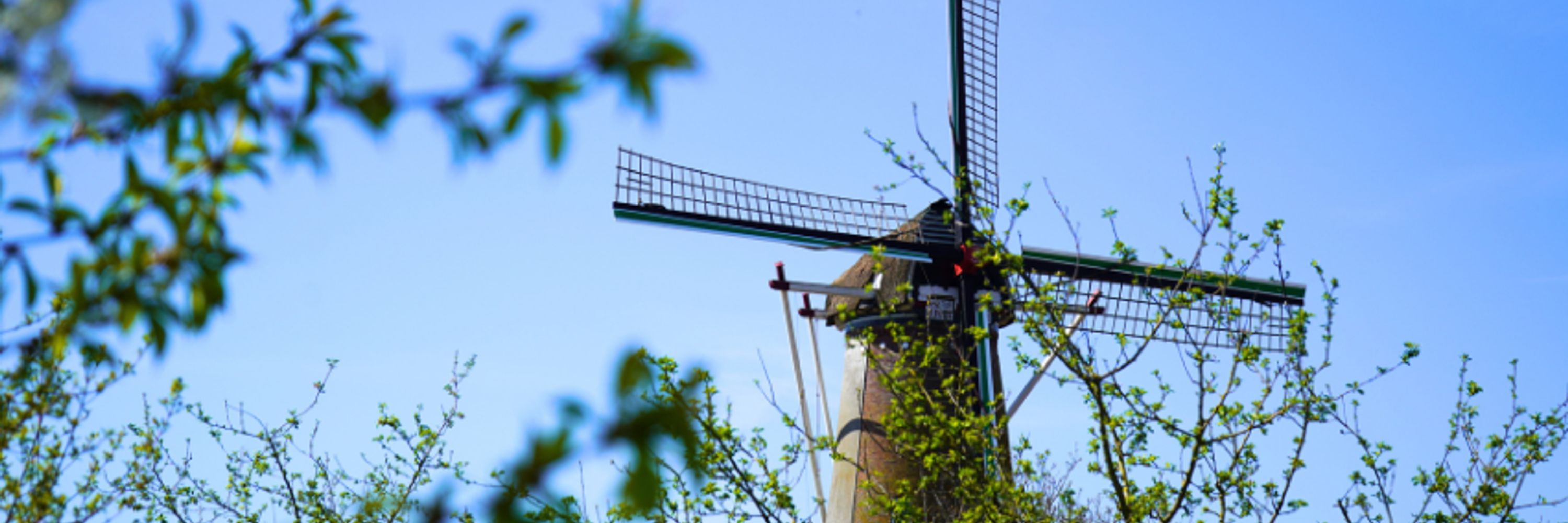 Gemeente Bunnik