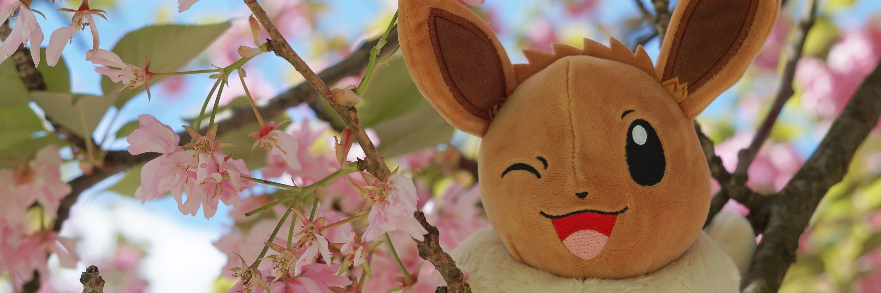 Koneeko
