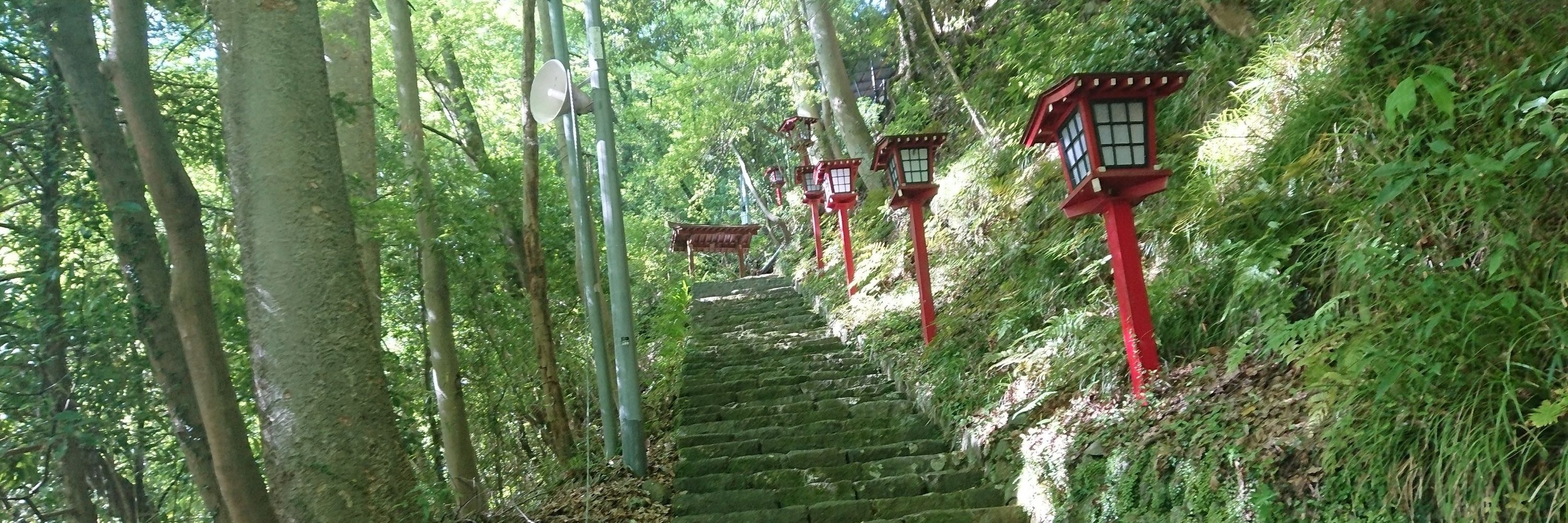 ゐろはす