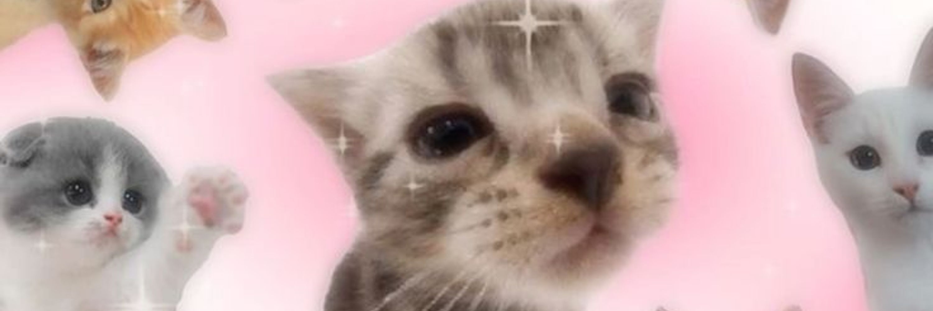 didi ⋆