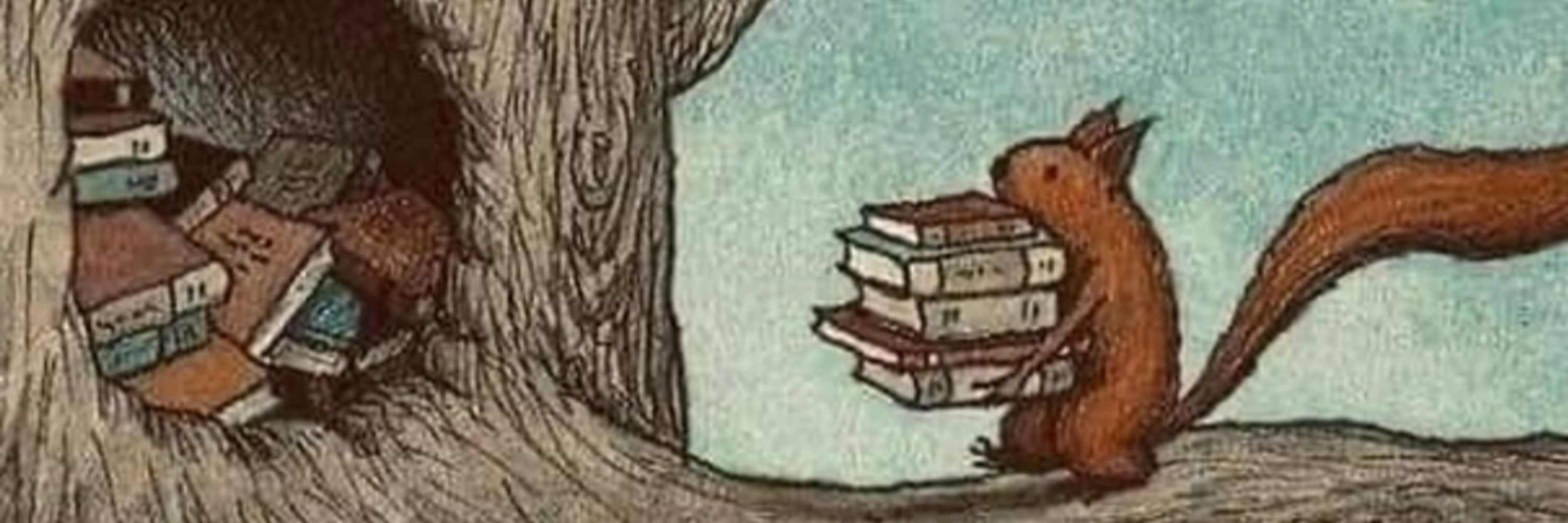 bookwitch🧹
