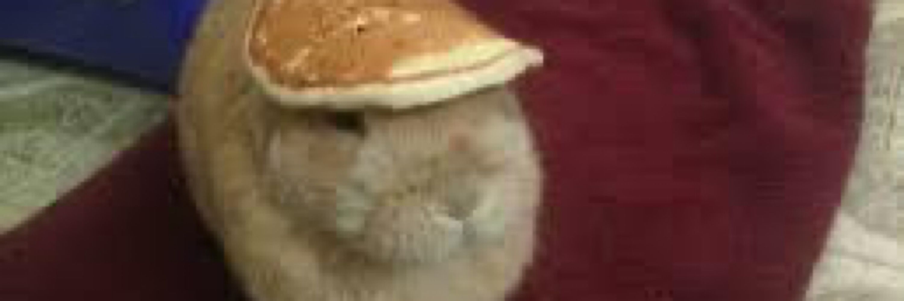 Pastery/Bon