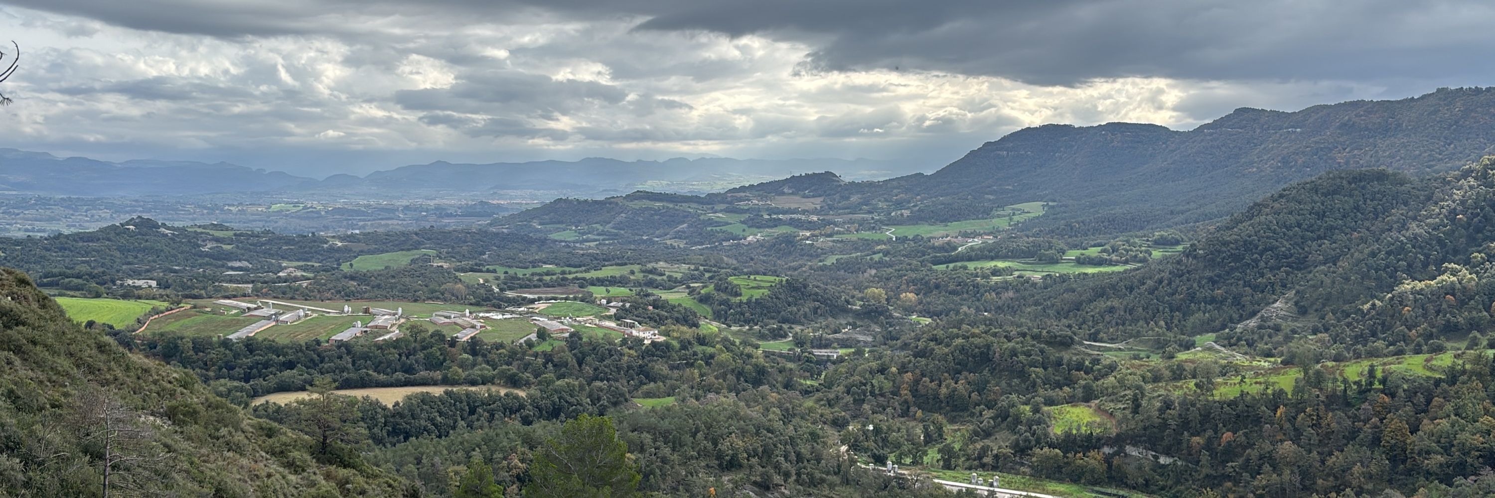 Antònia Darnés Surroca