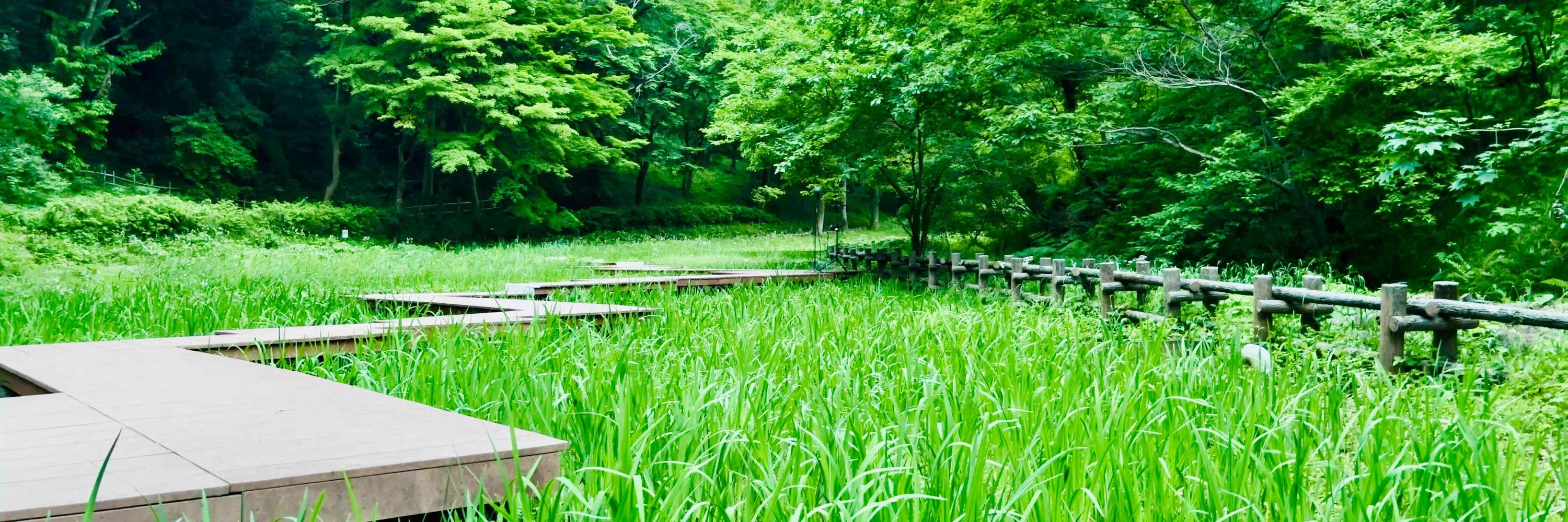 Nature Sound Effect：miduno