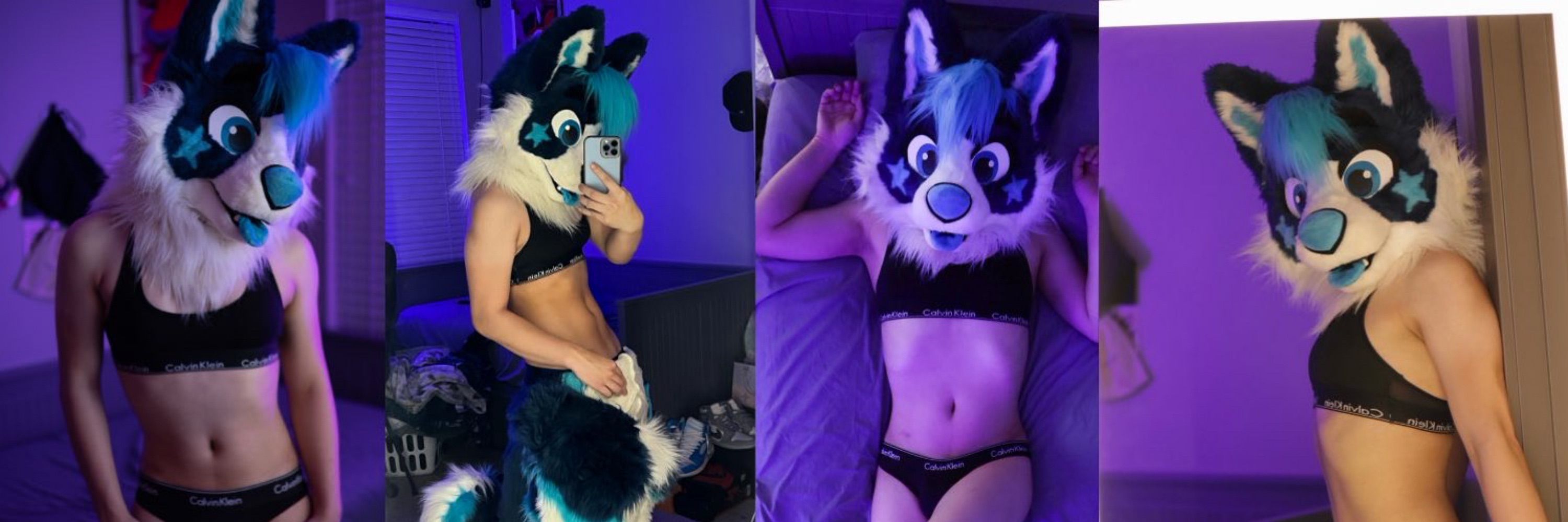 NovaFluffyHusky  🩵 🔜 MFF