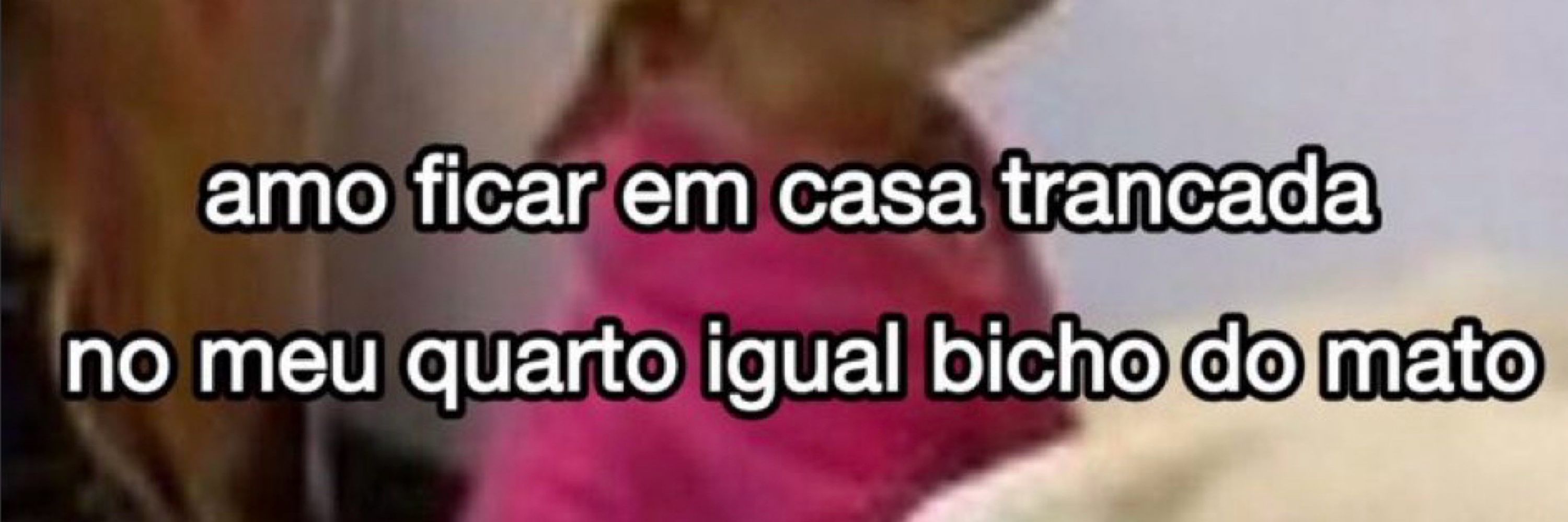 Lavínia ✨