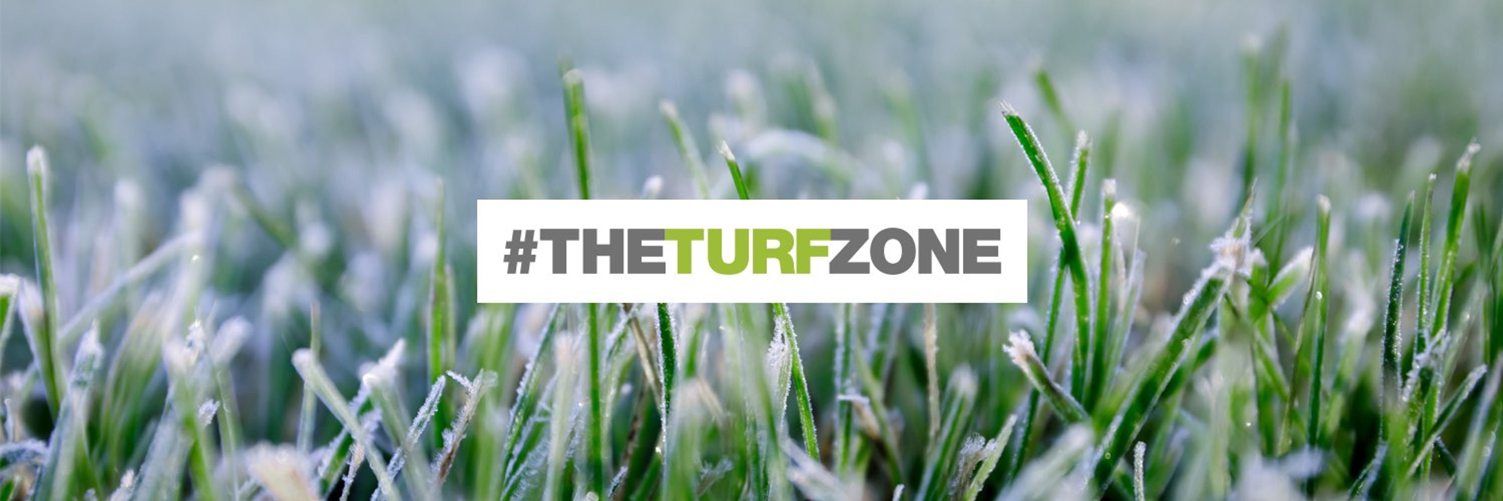 The Turf Zone