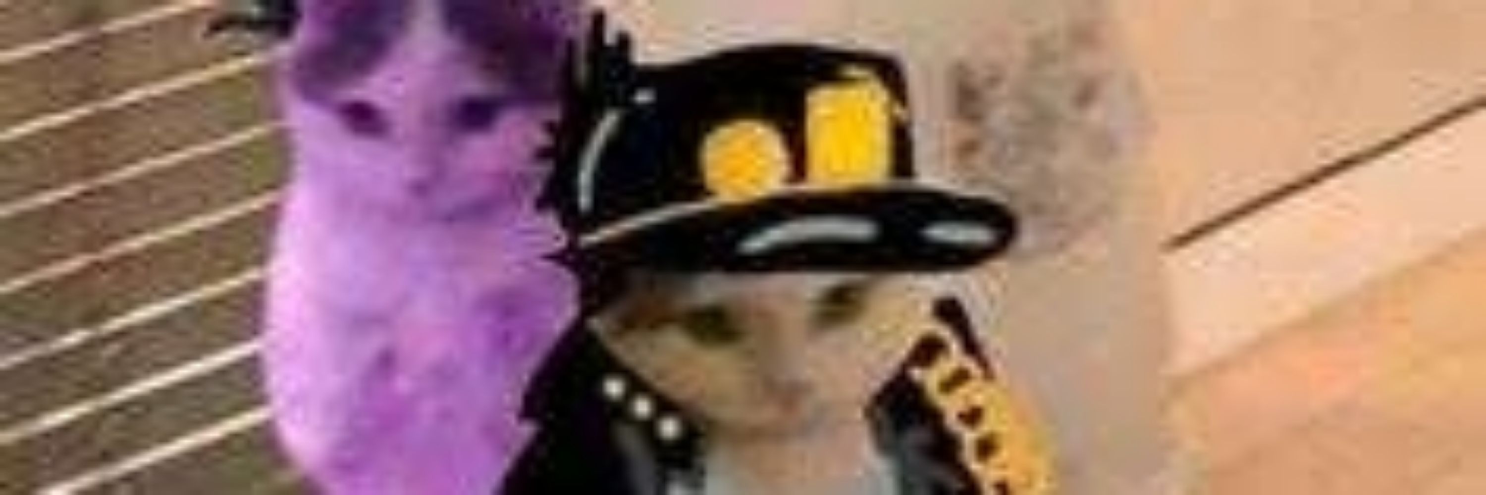 Wilsono1diot4